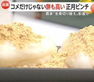 コメ過去最高値更新…もち米高騰で“餅も高い”ダブルショック　専門家「コメ価格は2026年2月頃から下落の可能性」
