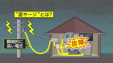 家電壊す“雷サージ”の脅威…テレビの電源コード焼け焦げて床に黒い跡くっきり 対策に…