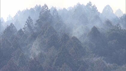 工場や住宅の火災が延焼　山林に燃え広がる…消火活動続くも鎮火のめど立たず　茨城・常陸太田市