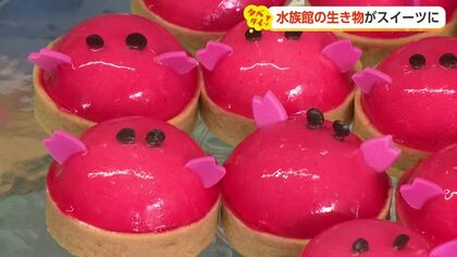 水族館の「推し」をスイーツで味わう新体験ブッフェ　おすすめはチョコで体の模様を表現した深海魚のプリン