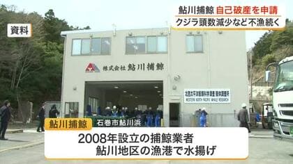 【速報】鮎川捕鯨が自己破産申請　２０１９年に商業捕鯨に移行し赤字経営に　負債総額５億５０００万円