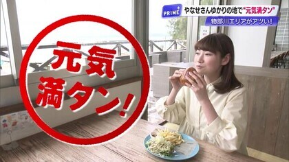 やなせたかしの故郷で元気満タン旅！高知・物部川エリア観光博「ものべすと」注目スポット特集