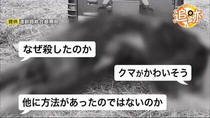 クマの駆除「やりたくてやっているわけではない」現場を悩ませる批判は道外から 最前線から理解求める声【北海道発】