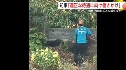クマ捕獲のハンター報酬、市町村でばらつき　鈴木知事、“適切な待遇確保”に向け働きかける考え示す　秋田