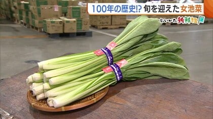 100年の歴史！？新潟市で愛される甘くほろ苦い『女池菜』の魅力「今しか食べられない冬の味覚味わって」