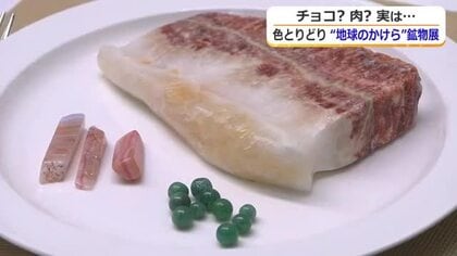 高級チョコやジューシーなステーキ！？…実は“地球のかけら”　世界中の貴重な鉱物400点を集めた企画展　坂井市龍翔博物館で9月6日まで