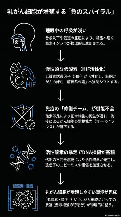 乳がんリスクの“最上流”にあるのは低酸素環境だった──睡眠中の体内環境に関する調査プロジェクトを開始
