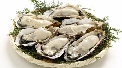 カキ大量死…養殖業者の資金繰りなど支援へ　政府が対策パッケージを公表