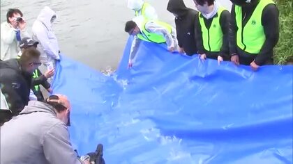 大野川で園児がアユの稚魚放流「元気いっぱい大きく育って」アユ漁は6月1日解禁　大分