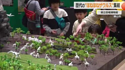 ほねほねファン必見　県立恐竜博物館に歴代「ほねほねザウルス」集結　