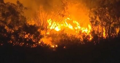 “1万9000人”が船などで避難　「熱波」で“山火事”発生　連日気温が40度超　ギリシャ・ロードス島