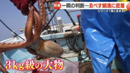 食べた人も漁をする人もニッコリの「恵比寿顔」 1000個のたこつぼを