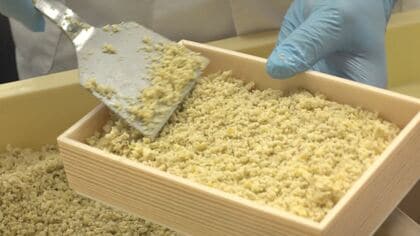 幻の和菓子と呼ばれる「栗粉餅」 そぼろ状の栗きんとんを餅にまぶし