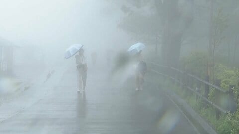 「梅雨の走り」夏のような暑さから季節が逆戻り？気温も急降下し各地で雨や強風　週明け関東で再び季節外れの暑さに