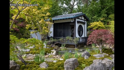 “緑の魔術師”石原和幸さん　世界最高峰の庭園の祭典「チェルシーフラワーショー」でシルバーギルトメダル獲得