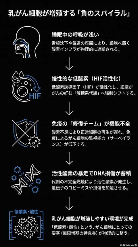 乳がんリスクの“最上流”にあるのは低酸素環境だった──睡眠中の体内環境に関する調査プロジェクトを開始