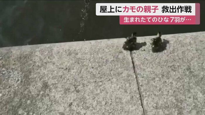 思い切って、次々にジャンプ