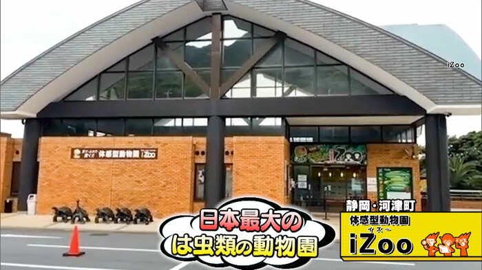 静岡・河津町「体感型動物園iZoo」