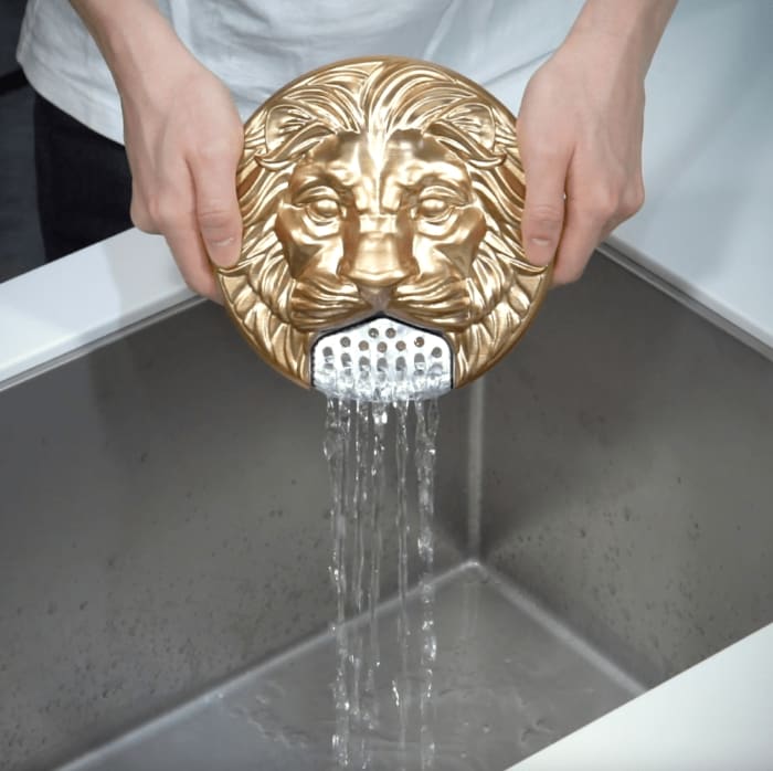 ライオンの口からお湯が(提供:日清食品)
