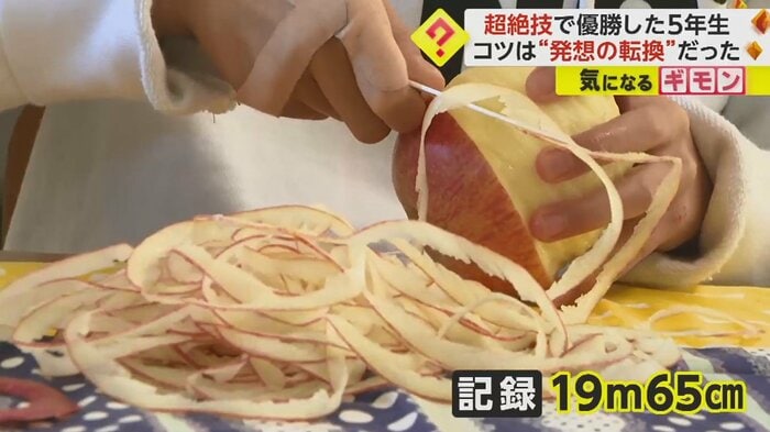 マンションの6階ほどの長さ