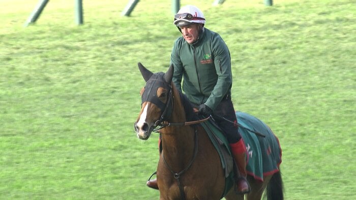 27日　追い切りを行ったカランダガン