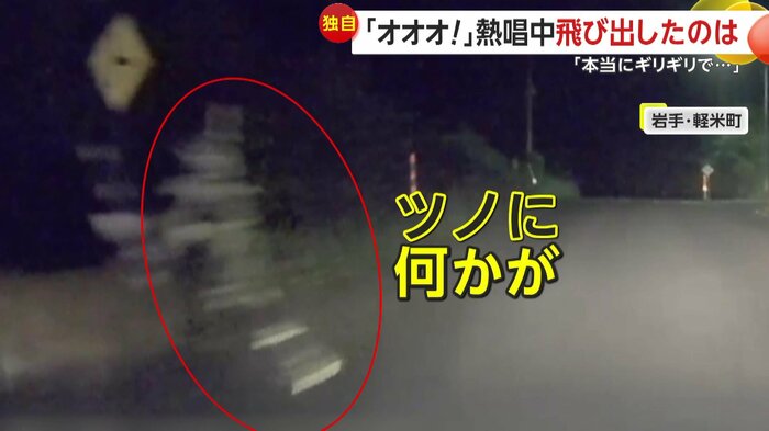 角に何かが引っかかっていたシカ(撮影:ちぃずキッチン)