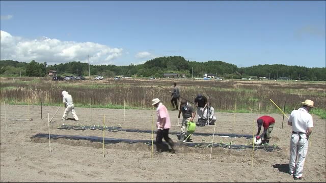 あれから9年半…いまも全町避難が続く双葉町 農業再生へ野菜の試験栽培始まる<福島県>