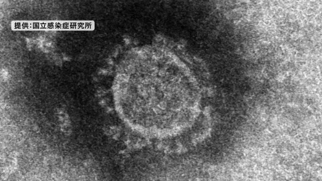 9月6日 仙台市で3人の感染判明 宮城のコロナ感染者累計は242人に