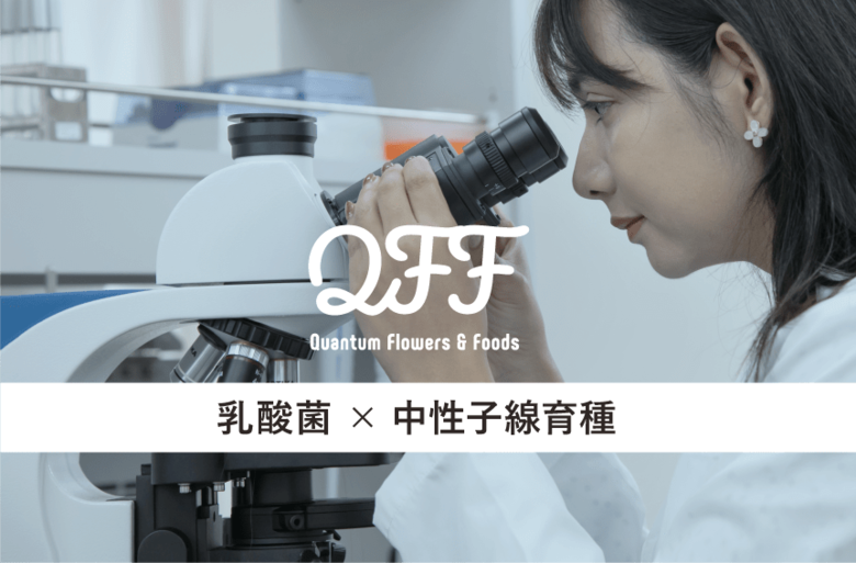 【QFF】クォンタムフラワーズ&amp;フーズ、中性子線育種による『乳酸菌』開発の実証に成功。