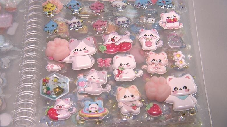 高額転売や偽サイト、路上駐車トラブルも…令和の「シール交換」ブームが過熱　親子で守るべき“遊びのルール”　教育的メリットも…専門家が指摘する“対面アナログ交流”が育む「社会性」｜FNNプライムオンライン