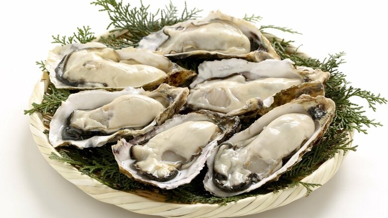 カキ大量死…養殖業者の資金繰りなど支援へ　政府が対策パッケージを公表｜FNNプライムオンライン