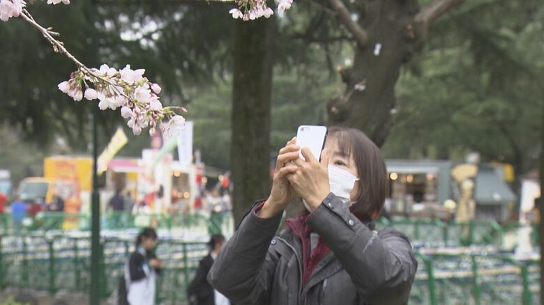 平年より4日遅く…名古屋でソメイヨシノの開花発表 鶴舞公園の花見客からは「もっと咲いてるかと…」との声も｜FNNプライムオンライン