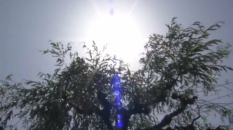 【速報】近畿・四国地方などで梅雨明け 気象庁が発表 記録的な早さ｜FNNプライムオンライン
