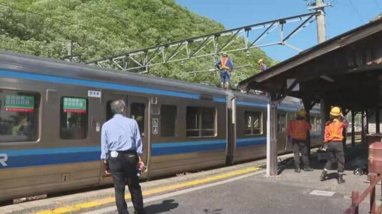 ＪＲ伯備線　夜間に列車１本運休　樹木伐採などの集中工事実施へ　７月～９月の金曜日　１１日間【岡山】｜FNNプライムオンライン