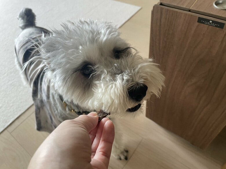 おやつをもらった！