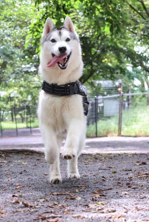 提供：スカイさん