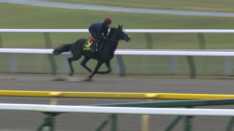 最終追い切りを行うオーギュストロダン
