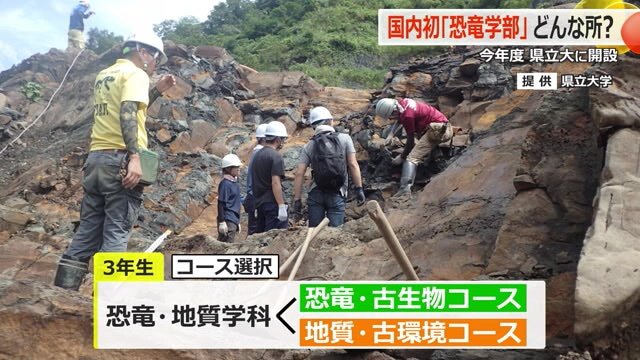 恐竜学部のカリキュラム