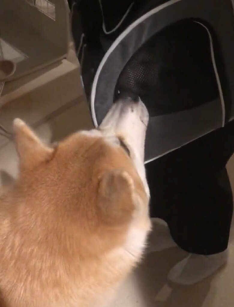 最初の出会い