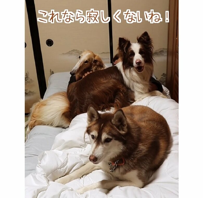 世界一幸せなシングルベッドの完成！