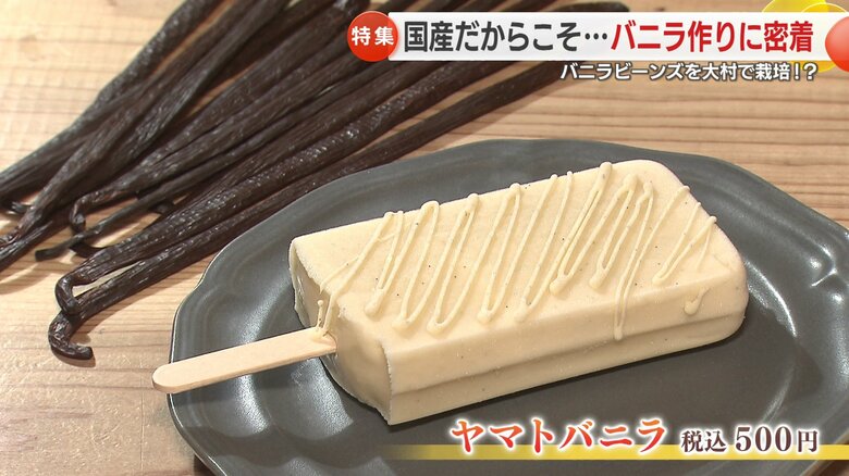 清水さんが育てたバニラを使った「アイスソルベ」