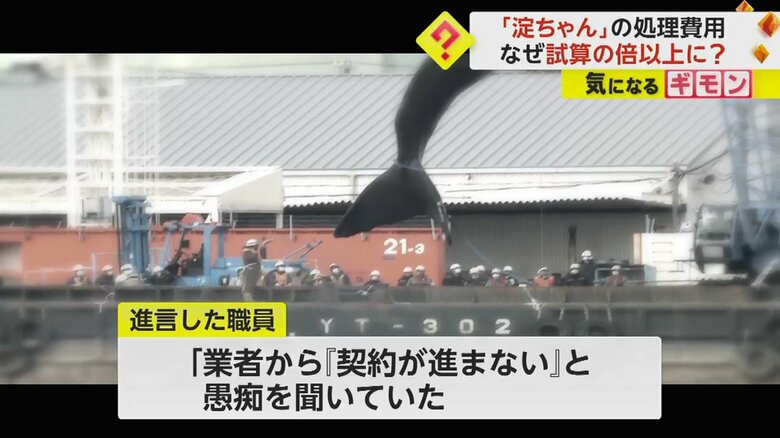 クレーンで引き揚げられている「淀ちゃん」の尾びれと作業を見守る人たち