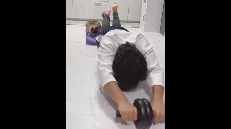 提供：たぬき&とらさん