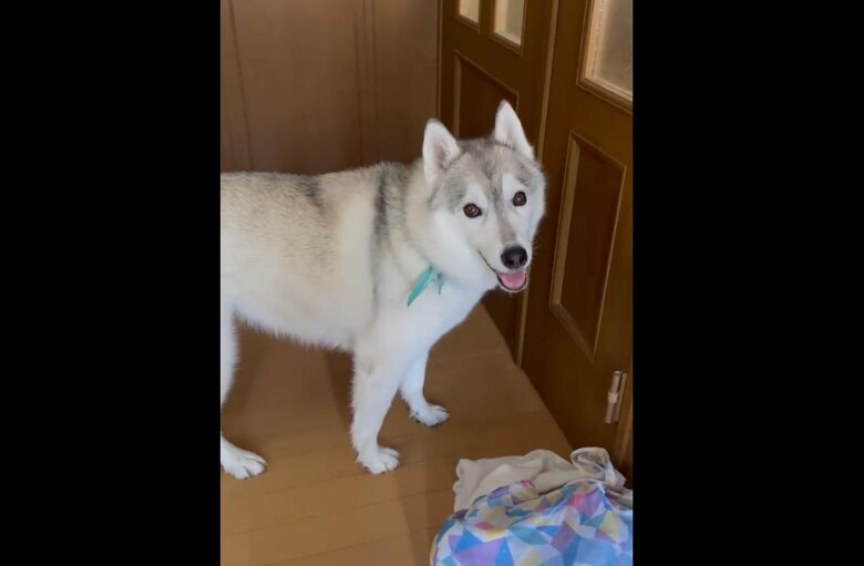 家の中に入るとさらに“笑顔”になるユキちゃん