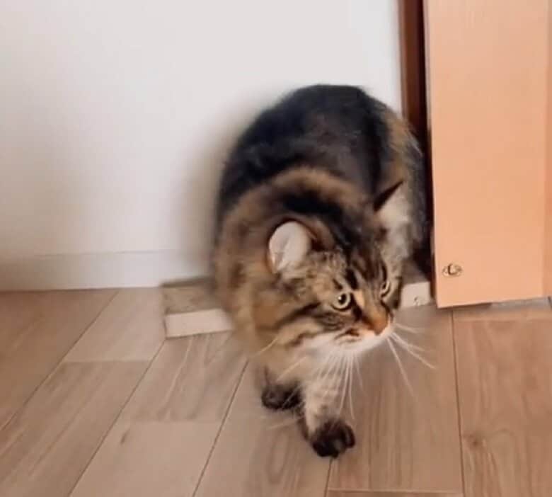 体全体が部屋に入った