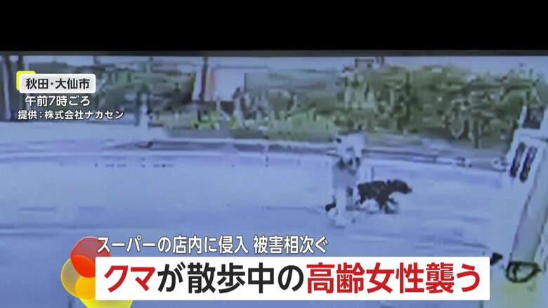 防犯カメラが捉えた、クマが高齢女性に襲いかかる瞬間⑫