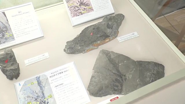 新発見が相次ぐ南相馬市　新たな観光資源に？
