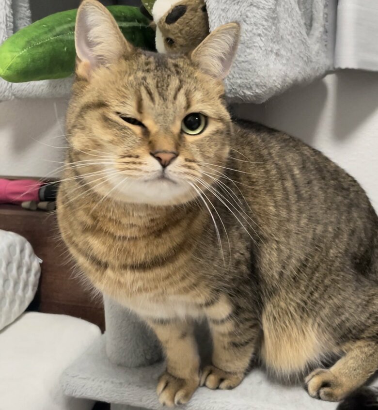 ウインク