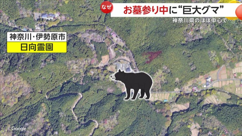 山に囲まれているものの、今まで熊が現われたことはなかった日向霊園の周り（イメージ画像）