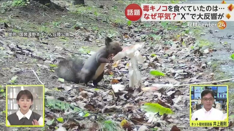 一心不乱にむさぼっている